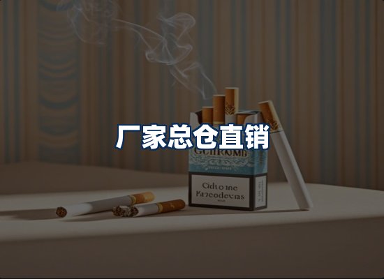 专业团队办公环境